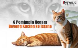 Infografis Deretan 6 Pemimpin Negara Boyong Kucing ke Istana
