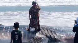 Viral Emak-Emak Foto di Paus yang Terdampar, Netizen: The Real Ras Terkuat di Bumi<