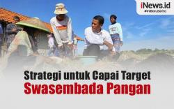 Infografis Mentan Beberkan Strategi untuk Capai Target Swasembada Pangan