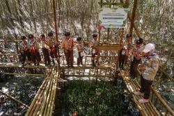 Menjaga dan Merawat Mangrove Pesisir Makassar
