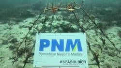Peringati Sumpah Pemuda, PNM Ajak Generasi Muda Konservasi Terumbu Karang di Ambon