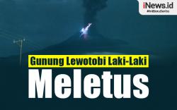 Infografis Gunung Lewotobi Laki-Laki Meletus