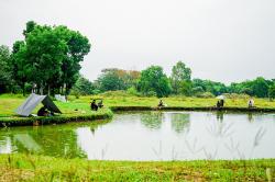 Melepas Penat dengan Memancing Ikan di Danau Mini Arcamanik Bandung<