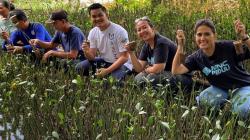MNC Peduli-Hotel Golden Tulip Lampung Gelar CSR Bantu Petani Mangrove di Lampung Timur<