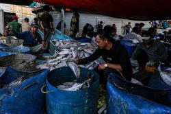 Produksi Perikanan Tangkap Capai 5 Juta Ton Per Triwulan III 2024