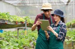 Cara Daftar Petani Milenial 2024 dan Besaran Gajinya