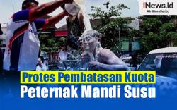 Infografis Peternak Mandi Susu Protes Pembatasan Kuota