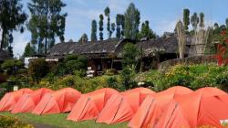12 Tempat Wisata Temanggung, Cocok Untuk Healing!<
