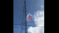 Motif Pria Tewas Lompat dari Tower BTS di Bengkulu, Depresi Ibu Meninggal Dunia<