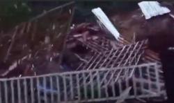 Tebing 15 Meter Longsor Timpa Rumah di Purworejo, 4 Orang Sekeluarga Tertimbun<