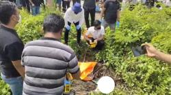 Warga Sidrap Heboh Temukan Mayat di Semak Pinggir Jalan, Kondisi Tulang Belulang<
