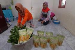 Program Budi Daya Mina Padi di Banyuasin