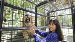 3 Jalur Alternatif ke Taman Safari Prigen untuk Wisata Full Day Tanpa Macet<