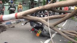 Angin Kencang di Mojokerto, Kendaraan Dinas TNI Rusak dan 2 Orang Luka Tertimpa Pohon Tumbang<
