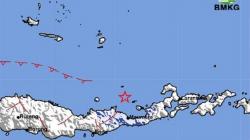 Gempa Hari Magnitudo 4,1 Guncang Maumere NTT, Terasa Skala III MMI<