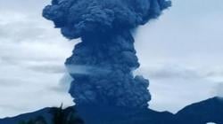 Gunung Dukono Erupsi Dahsyat Lagi, Kolom Abu Capai 1,3 Km ke Langit Halmahera