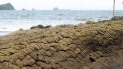 6 Tempat Wisata di Jember, Nomor 3 Legenda Ular Raksasa<