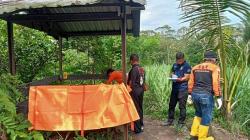 Jasad Wanita Muda Ditemukan di Gubuk Persawahan Malang Dievakuasi ke RSUD Saiful Anwar<