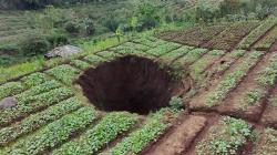 Heboh Kemunculan Sinkhole di Perkebunan Sawi Kota Batu, Pertanda Apa?<