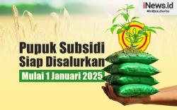 Infografis Mentan Pastikan Pupuk Subsidi Siap Disalurkan Mulai 1 Januari 2025
