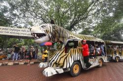 Cara Menuju Kebun Binatang Ragunan dengan TransJakarta, MRT, dan KRL:  Ini Jalur Termudahnya!