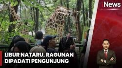 Ragunan, Ancol hingga Malioboro Ramai Dikunjungi Wisatawan pada Libur Nataru