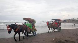 Libur Nataru, 150.000 Wisatawan Kunjungi Pantai Parangtritis<