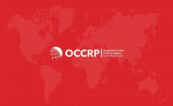 Ini Para Juri OCCRP yang Masukkan Jokowi Nominator Tokoh Korup 2024