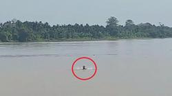 Dramatis! Polisi Tangkap Pencuri Sawit di Jambi, Sempat Lompat ke Sungai Batanghari<