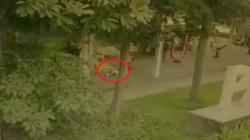 Detik-Detik Balita di Gresik Tewas Tertimpa Fasilitas Olahraga Terekam CCTV, Terpelanting<