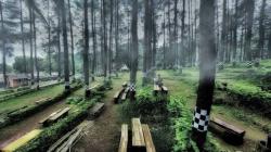 10 Tempat Wisata di Kendal: Keindahan Alam Baon Hutan Pinus yang Menyejukkan<