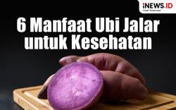 Infografis 6 Manfaat Ubi Jalar untuk Kesehatan