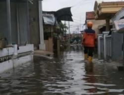 Banjir Rob Rendam 2 Desa di Pekalongan, 1.010 KK Terdampak<