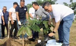 Mitigasi Perubahan Iklim, TASPEN Tanam 600 Bibit Pohon di Kota Jambi