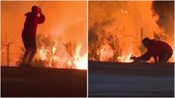 Viral Video Pria Selamatkan Kelinci dari Kebakaran Los Angeles, Ini Fakta Sebenarnya
