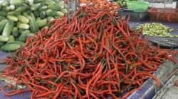 Harga Cabai Rawit Merah di Pasar Gudang Tigaraksa Tangerang Tembus Rp150 Ribu/Kg