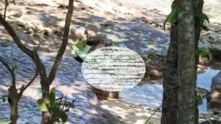 Terungkap, Oknum TNI AL Koarmada III Bunuh Wanita Cantik Gunakan Sangkur saat Mabuk<