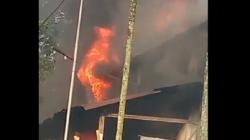 Pabrik Pengolahan Karet di Jember Terbakar Hebat, Warga Tak Berdaya Hadapi Kobaran Api<