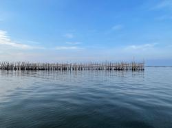 Pekerjaan 500 Meter Pagar Laut Dekat Pulau C Sudah Dihentikan, Siapa Pemiliknya?