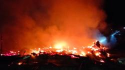 Kebakaran Kandang Ternak di Sampang, 11.000 Ekor Ayam Mati Terpanggang<
