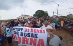 Demo Jalan Rusak, Warga Pagerbarang Tegal Tebar Lele hingga Tanam Pisang<