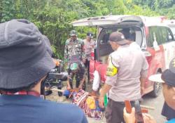 Ngeri! Warga di Lampung Barat Tewas Tercabik-cabik Diduga Diserang Harimau<