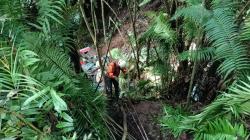 Truk Angkut Organ Tunggal Terjun ke Jurang di Pasaman, Evakuasi Korban Gunakan Alat Khusus<