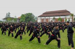 Ratusan Pesilat Ikuti Ujian Kenaikan Tingkat PSPS Bakti Negara Bali   <