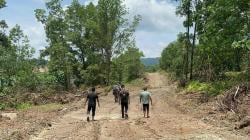Oknum Kades dan Sekdes Jual Hutan 150 Hektare di Inhu Riau, Kantongi Rp1,8 Miliar<
