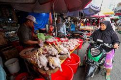 Komoditas Pangan Saat Ramadan 2025 Dipastikan Aman