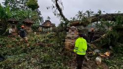 Bangunan Suci di Bali Porak-poranda Tertimpa Pohon Tumbang Berusia Ratusan Tahun<