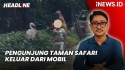 Headline vozpublica.ID: Viral Pengunjung Taman Safari Keluar dari Mobil di Area Hewan, Langsung Di-blacklist