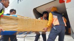 2 Jenazah Pendaki Puncak Carstensz Diterbangkan ke Jakarta dari Bandara Mozes Kilangin