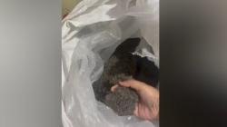 Viral, Penipuan Jual Sekarung Gula Ternyata Berisi Pasir di Bukittinggi<
